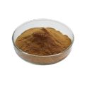 extrato de alecrim antioxidante natural